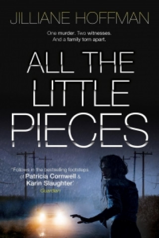 All The Little Pieces (Jilliane Hoffman)(Puha kötésű)