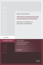 Subtraktive Nominalmorphologie in den Dialekten des Deutschen