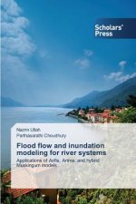 Flood flow and inundation modeling for river systems
