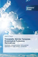 Trimetallic Nitride Template Endohedral Fullerene Derivatives