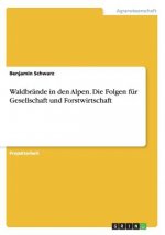 Waldbrande in den Alpen. Die Folgen fur Gesellschaft und Forstwirtschaft