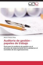 Auditoria de gestion - papeles de trabajo