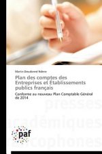 Plan Des Comptes Des Entreprises Et Etablissements Publics Francais