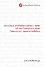 Tractatus de fideiussoribus, Tum ad Ius Commune, tum Saxonicum accommodatus
