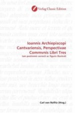 Ioannis Archiepiscopi Cantvariensis, Perspectivae Commvnis Libri Tres