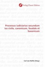 Processus iudiciarius secundum ius civile, canonicum, feudale et Saxonicum