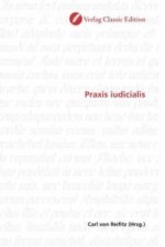 Praxis iudicialis