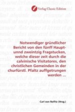 Notwendiger gründlicher Bericht von den fünff Haupt- unnd zweintzig Fragstucken, welche dieser zeit durch die calvinische Visitatores, den christliche