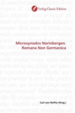 Microsynodvs Norinbergen. Romana Non Germanica