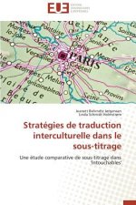 Strat gies de Traduction Interculturelle Dans Le Sous-Titrage