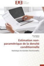 Estimation Non-Param trique de la Densit  Conditionnelle