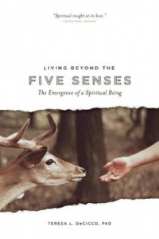 Living Beyond the Five Senses