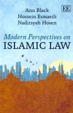 Modern Perspectives on Islamic Law