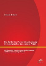 Borderline-Persoenlichkeitsstoerung im Handlungsfeld der sozialen Arbeit