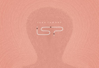 Intelligent Sentient?