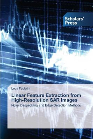 Linear Feature Extraction from High-Resolution SAR Images