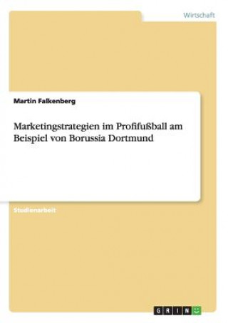 Marketingstrategien im Profifußball am Beispiel von Borussia Dortmund