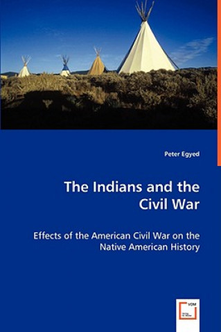 Indians and the Civil War - Effects of the American Civil War on the Native American History