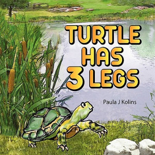 Turtle Has 3 Legs