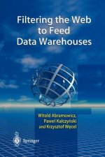 Filtering the Web to Feed Data Warehouses