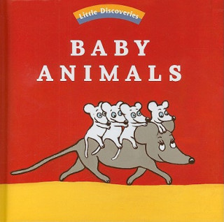Baby Animals: Little Discoveries
