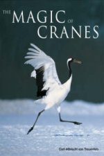 Magic of Cranes