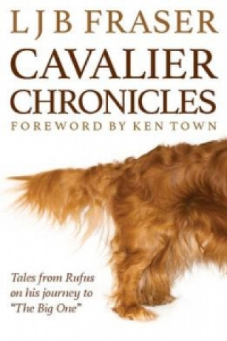 Cavalier Chronicles