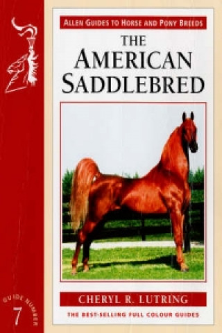 American Saddlebred