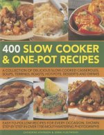 400 Slow Cooker & One-pot Recipes