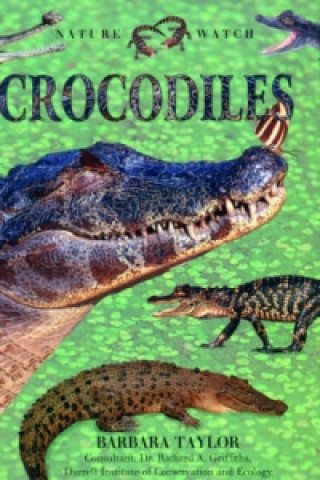 Crocodiles