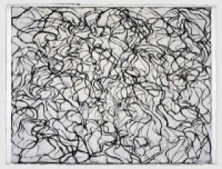 Brice Marden - Letters