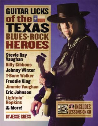 Guitar Licks of the Texas Blues Rock Heroes