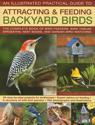 BACKYARD BIRDS: ILLUSTRATED PRACTICAL