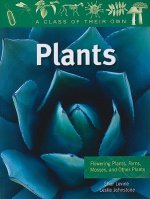 PLANTS:FLOWERING PLANTS,FERNS,MOSSES