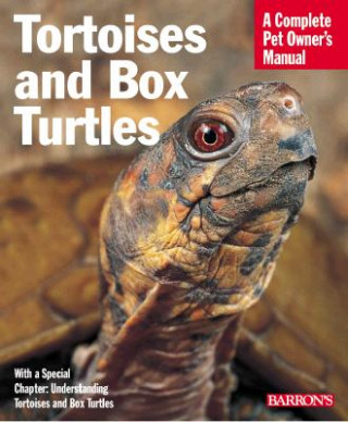 Tortoises and Box Turtles