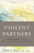 Violent Partners