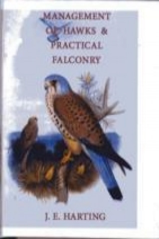 Hints on the Management of Hawks & Practical Falconry
