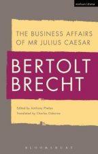 Business Affairs of Mr Julius Caesar