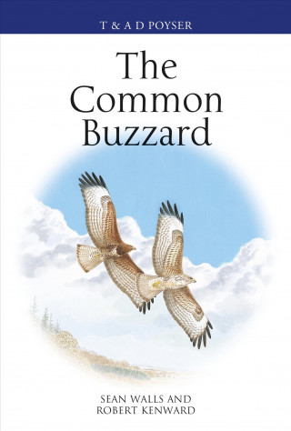Common Buzzard