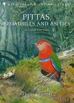 PITTAS AND BROADBILLS