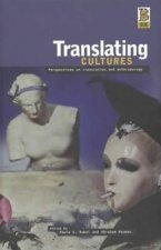 Translating Cultures