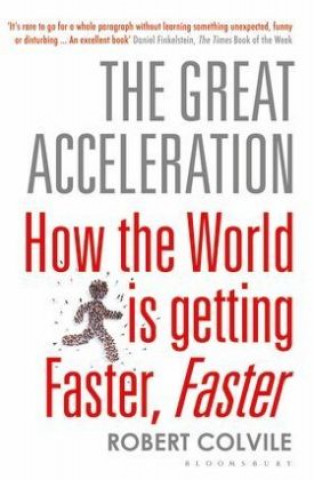 Great Acceleration