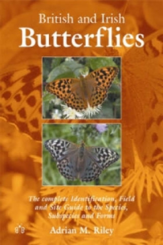 British and Irish Butterflies