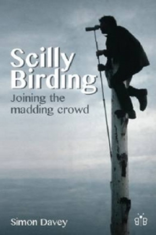 Scilly Birding
