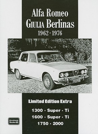 Alfa Romeo Giulia Berlinas Limited Edition Extra