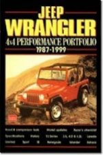 Jeep Wrangler 4X4, 1987-99