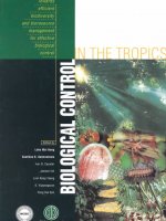 Biological Control in the Tropics