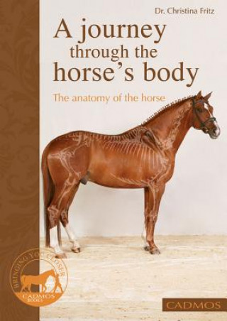 Journey Through the Horse's Body