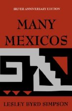 Many Mexicos