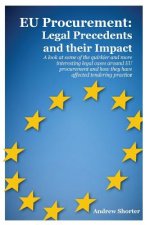 EU Procurement: Legal Precedents and Their Impact